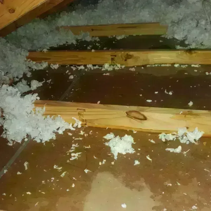 Attic Water Damage in Killdeer, ND