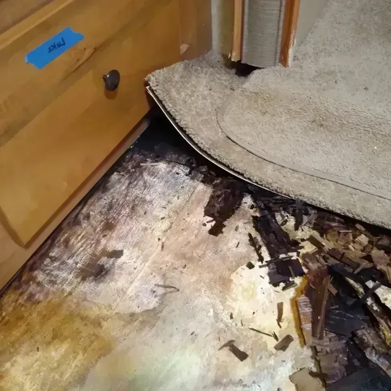 Wood Floor Water Damage in Killdeer, ND